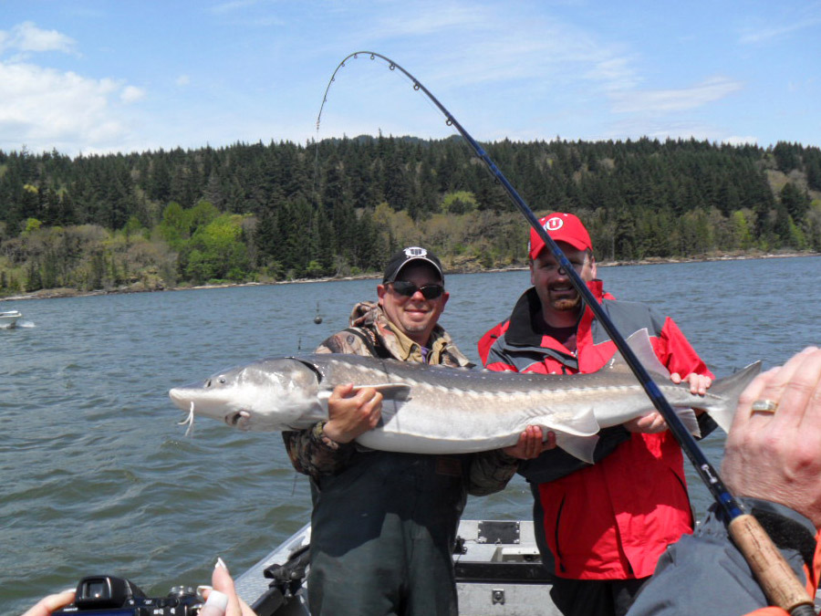 Sturgeon Fishing  Columbia River Fishing Guides in Washington & Oregon